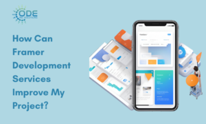 Framer Development Services