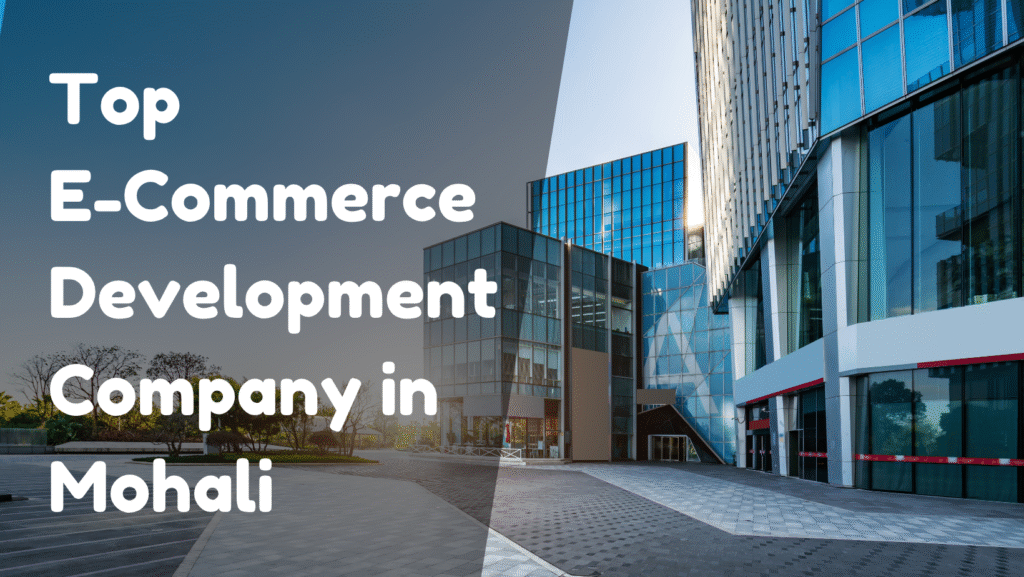 E-Commerce Development Company in Mohali